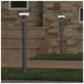 Lampada solare LED con sensore LED/2W/3,7V 1200 mAh IP44 80 cm