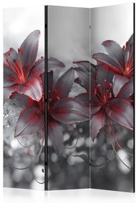 Paravento Shadow of Passion [Room Dividers]
