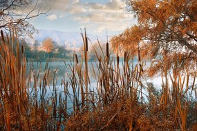 Carta da parati – Lago nel mezzo della natura autunnale