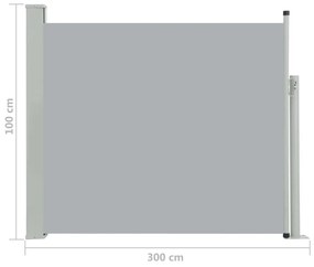 Tenda Laterale Retrattile per Patio 100x300 cm Grigio