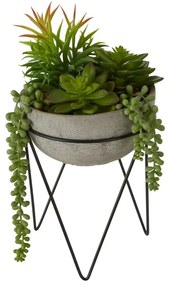 Succulenta artificiale (altezza 36 cm) Fiori - Premier Housewares