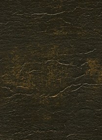 Élitis Carta da parati Hope Metal - VP 870 07