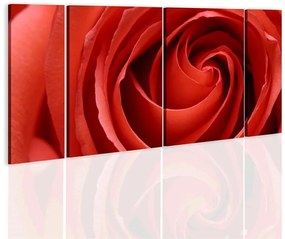 Quadro Passionate rose  Colore Rosso, Dimensioni e Misure 120x60