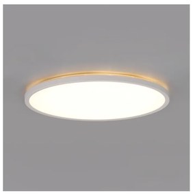 Lampada LED bagno NIVERA LED/32W/230V IP54 Ø42 cm bianco con telecomando