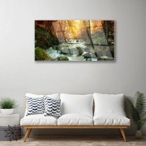 Quadro acrilico Cascata Natura Foresta autunnale 100x50 cm