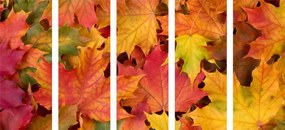 Quadri 5 pezzi – Foglie d'autunno
