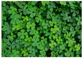 Fotomurale  Green Clover  Colore Verde, Dimensioni e Misure 300x210