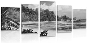 Quadri 5 pezzi – Spiaggia sull'isola di La Digue in bianco e nero