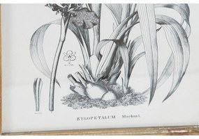 Quadro DKD Home Decor Moderno Piante botaniche 30 x 2 x 40 cm (4 Unità)