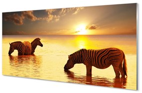 Quadro vetro acrilico Tramonto di acqua zebra 100x50 cm