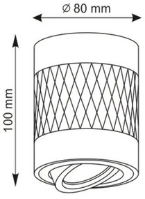 Luce Spot RUBIN 1xGU10/10W/230V bianco