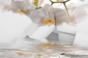 Carta da parati – Illusione Astratta