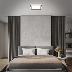 Briloner 7459-417 - Plafoniera LED dimmerabile DECO LED/24W/230V + +TC