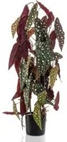 Emerald Begonia Maculata Artificiale 75 cm in Vaso 444649