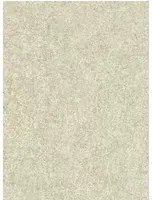 Lederoptik Tapete Shagreen von Zoffany - Platinum Grey