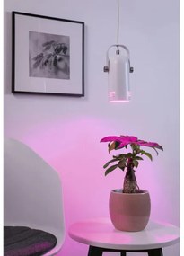 Paulmann 79767 - LED RGBW 1xE27/15W Lampada a sospensione su cavo LAVEA 230V bianco