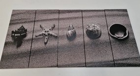 Quadri 5 pezzi – Conchiglie sulla spiaggia sabbiosa in bianco e nero