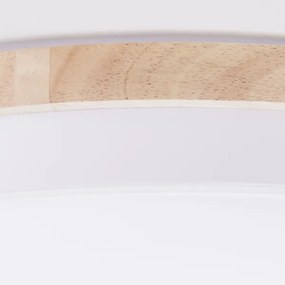 Brilliant - Plafoniera LED dimmerabile BAARLO LED/36W/230V diametro 50 cm bianco + +TC