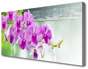 Quadro su tela Orchidee, gocce, natura 100x50 cm