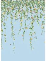 Cole & Son Carta da parati Hummingbirds Flora - Buttercup Yellow on Cornflower Blue