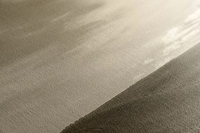 Stampa su tela – Paesaggio incantevole in seppia