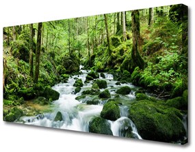 Stampa quadro su tela Fiume delle cascate di Las Potok 100x50 cm