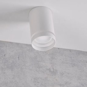 Luce Spot FABRI 1xGU10/10W/230V bianco