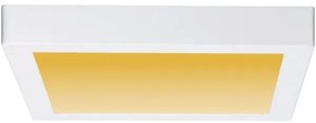 Paulmann 79801 - Plafoniera LED/13W CARPO 230V 2300/2500/3000K