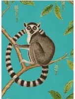 Tapete Ringtailed Lemur von Sanderson - Teal