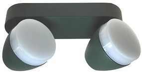 Plafoniera LED SURMUR 2xLED/6W/230V verde