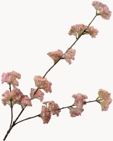 Ramo Dill Branch