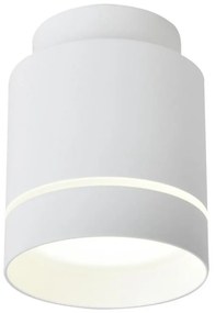 Plafoniera LED TUBA LED/12W/230V