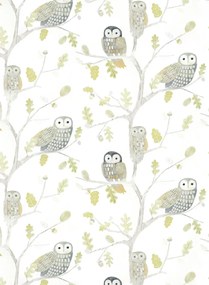 Harlequin Tapete Little Owls - Kiwi
