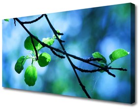 Foto quadro su tela Ramo di piante naturali Foglie 100x50 cm