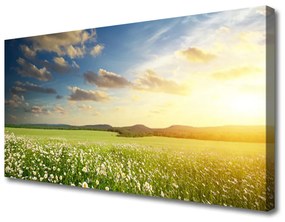 Quadro su tela Paesaggio di fiori di prato 100x50 cm
