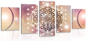 Quadri 5 pezzi – Mandala affascinante