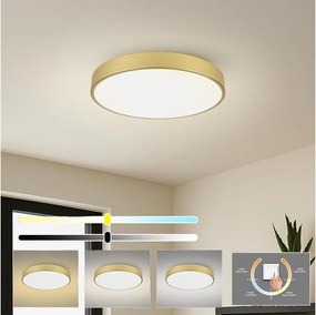 Brilagi - Plafoniera LED POOL LED/60W/230V 3000/4500/6000K Ø 60 cm dorata