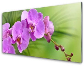 Quadro in vetro Orchidea Fiori di orchidea 100x50 cm