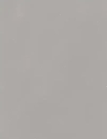 Terrastone Rustique floor - 15kg - 63 - beton2 - 15 kg