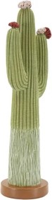 Cactus Cm 16,5X11X45