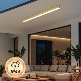 Brilagi - Plafoniera LED da bagno SLEEKLINE LED/40W/230V dorata IP44