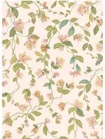 Cole & Son Tapete Flora - Tangerine/ Olive on Blush