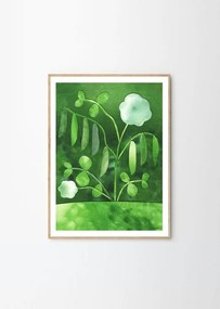 Poster 50x70 cm Peas in Bloom – Anna Ravn Bjørn – The Poster Club