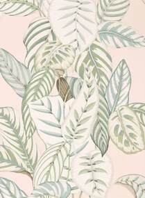 Blätter Tapete Calathea von Sanderson - Orchid/ Eucalyptus