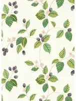 Sanderson Tapete Rubus - Blackberry