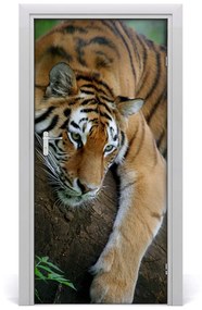 Poster adesivo per porta Tigre su un albero 85x205 cm