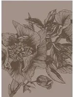 Coordonne Carta da parati panoramica Giant Peonies - Cacao