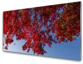 Quadro acrilico Natura dei rami degli alberi 100x50 cm