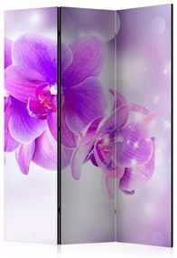 Paravento Purple Orchids [Room Dividers]