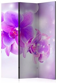 Paravento  Purple Orchids [Room Dividers]  Colore ---, Dimensioni e Misure 135x172